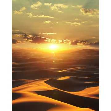 Tapet Marburg colectia Dune...